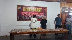 Petugas Ditresnarkoba Polda Papua Tengah menunjukkan barang bukti ganja yang disita dari dua terduga pelaku dalam operasi di Nabire. Dok. Humas Polda PPT