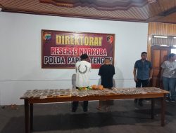 Polda Papua Tengah Tangkap Dua Pelaku Ganja di Nabire