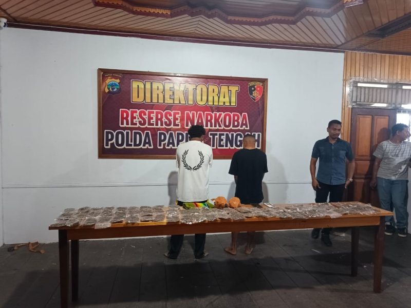 Petugas Ditresnarkoba Polda Papua Tengah menunjukkan barang bukti ganja yang disita dari dua terduga pelaku dalam operasi di Nabire. Dok. Humas Polda PPT